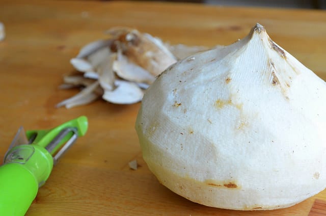 jicama